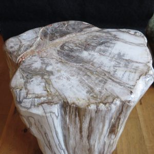 Large Fossilized Wood Piece – Indonesia