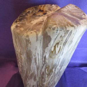 Large Fossilized Wood Piece – Indonesia