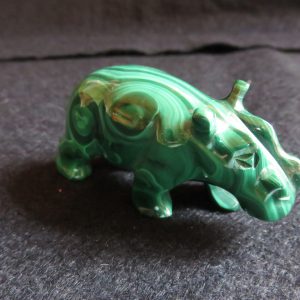 Hippopotamus