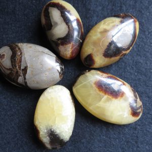Septarian Pebble